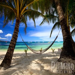 T055 Tropical Hammock